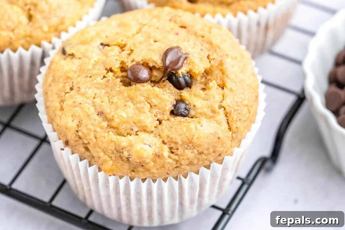 Baked muffin cooling on a wire rack.