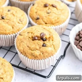 Baked muffins over a wire rack.