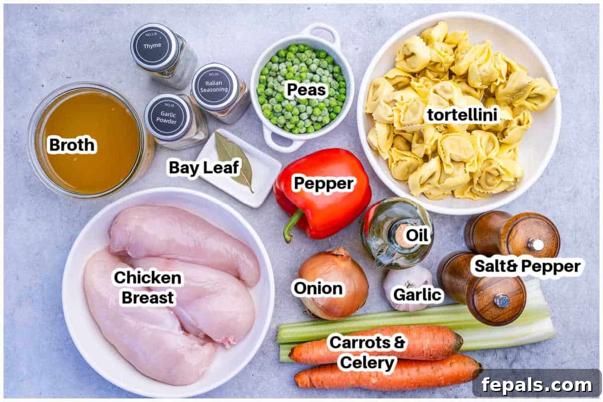 Ingredients for chicken tortellini soup.
