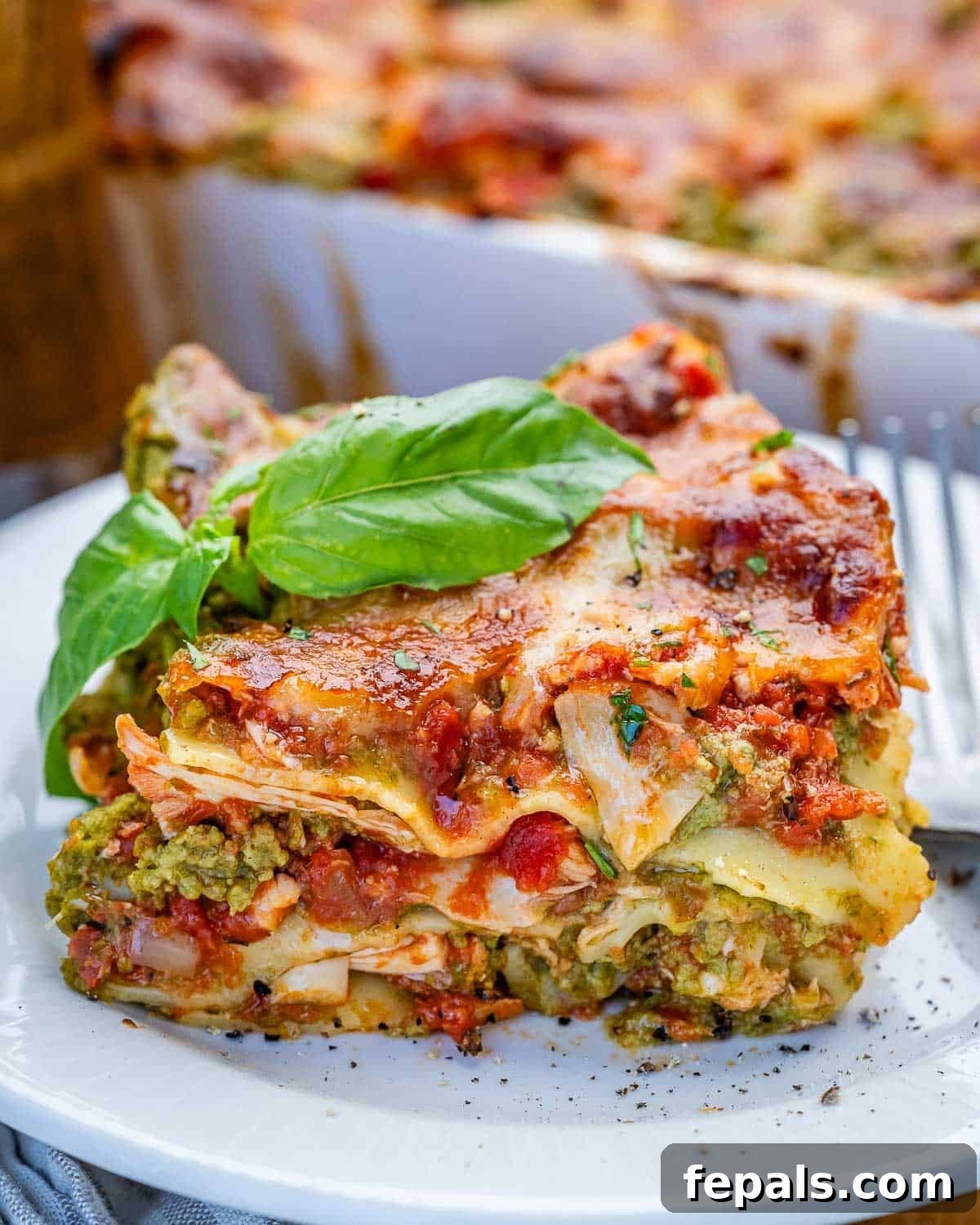 Creamy Chicken Lasagna with Cottage Cheese Recipe 8 A slice of chicken lasagna on a white plate topped with basil.