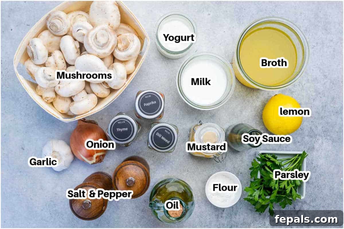ingredients to make hungarian mushroom soup