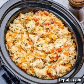 a slow cooker filled with cooked chicken and rice.
